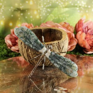 Mosagaat libelle nr. 1