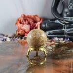 Fossiel koraal bol nr. 23-2