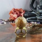 Fossiel koraal bol nr. 23-3