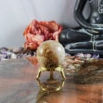 Fossiel koraal bol nr. 23-5