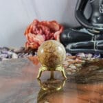 Fossiel koraal bol nr. 23-6