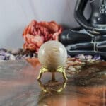 Fossiel koraal bol nr. 24-2