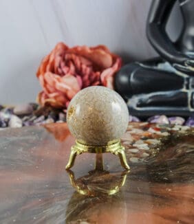 Fossiel koraal bol nr. 24