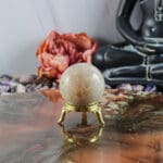 Fossiel koraal bol nr. 24-3