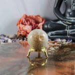 Fossiel koraal bol nr. 24-4