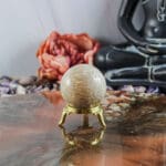 Fossiel koraal bol nr. 24-5