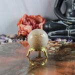 Fossiel koraal bol nr. 24-6