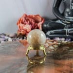 Fossiel koraal bol nr. 25-2