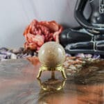 Fossiel koraal bol nr. 25-3