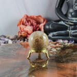 Fossiel koraal bol nr. 25-4