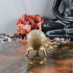 Fossiel koraal bol nr. 25-5