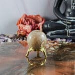 Fossiel koraal bol nr. 25-6