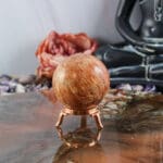 Fossiel koraal bol nr. 5-2