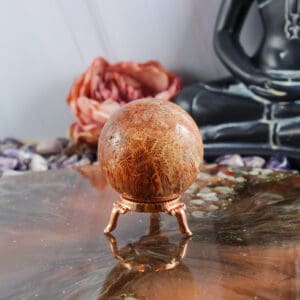 Fossiel koraal bol nr. 5