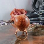 Fossiel koraal bol nr. 5-4