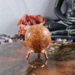 Fossiel koraal bol nr. 5-6