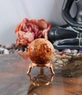 Fossiel koraal bol nr. 8