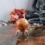 Fossiel koraal bol nr. 8-6