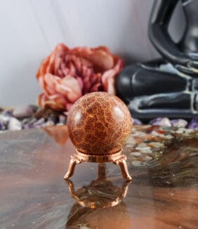 Fossiel koraal bol nr. 9