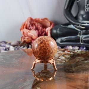 Fossiel koraal bol nr. 9