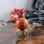 Fossiel koraal bol nr. 9-5