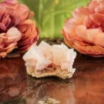 Haliet cluster nr. 1