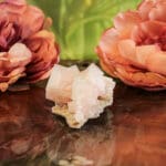 Haliet cluster nr. 1-2