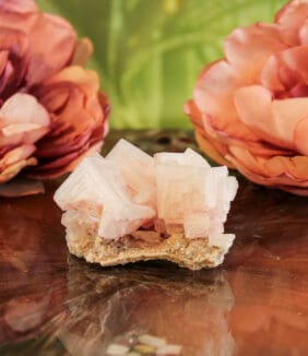 Haliet cluster nr. 1