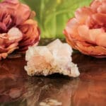 Haliet cluster nr. 1-3