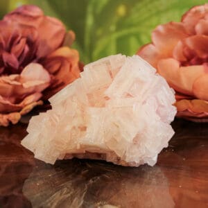 Haliet cluster nr. 2