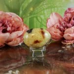 Septarie handsteen nr. 1-2