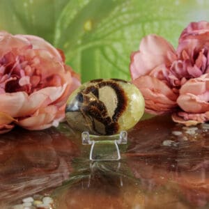 Septarie handsteen nr. 1