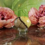 Septarie handsteen nr. 3