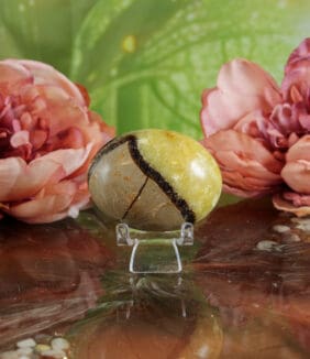 Septarie handsteen nr. 3