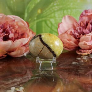 Septarie handsteen nr. 3