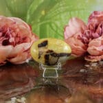 Septarie handsteen nr. 4 - Afbeelding 2