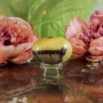 Septarie handsteen nr. 4-2