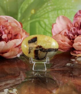 Septarie handsteen nr. 4