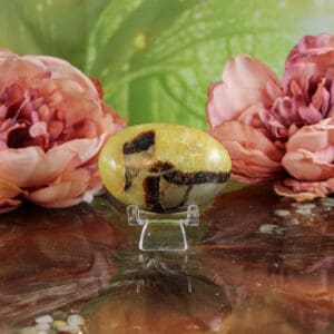 Septarie handsteen nr. 4