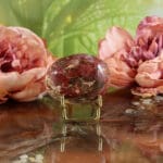 Versteend hout handsteen nr. 1