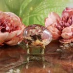 Versteend hout handsteen nr. 1-2