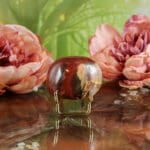 Versteend hout handsteen nr. 2 - Afbeelding 2