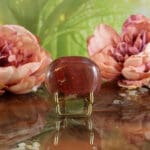 Versteend hout handsteen nr. 2-2