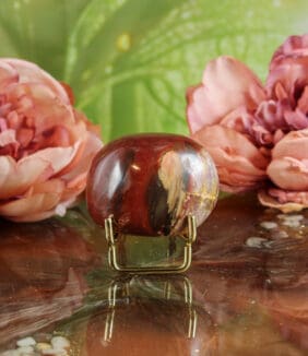 Versteend hout handsteen nr. 2