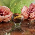 Versteend hout handsteen nr. 3 - Afbeelding 2