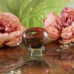 Versteend hout handsteen nr. 3-2