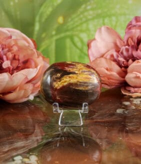 Versteend hout handsteen nr. 3