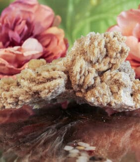 Woestijnroos ruw nr. 3