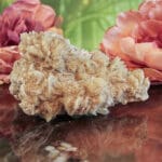 Woestijnroos ruw nr. 3-3