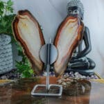 Agaat vlinder op standaard nr. 1 - Afbeelding 2